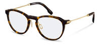 Rodenstock-Korekční brýle-R8031-havana/gold