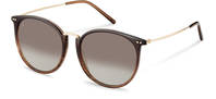 Rodenstock-Sluneční brýle-R3333-browngradient