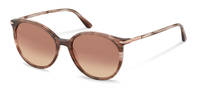 Rodenstock-Sluneční brýle-R3341-rosestructured